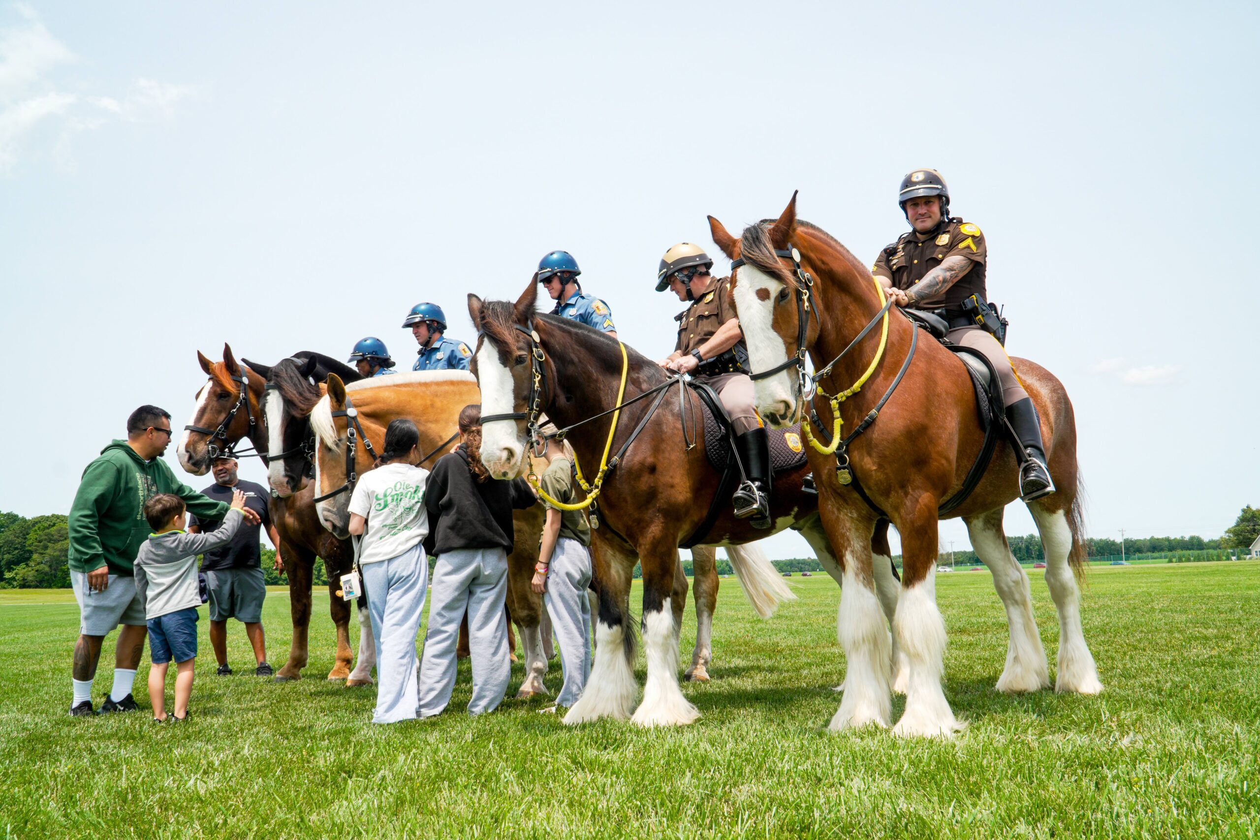 DSP Horseback