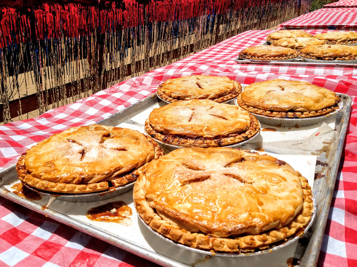Apple Pie Contest